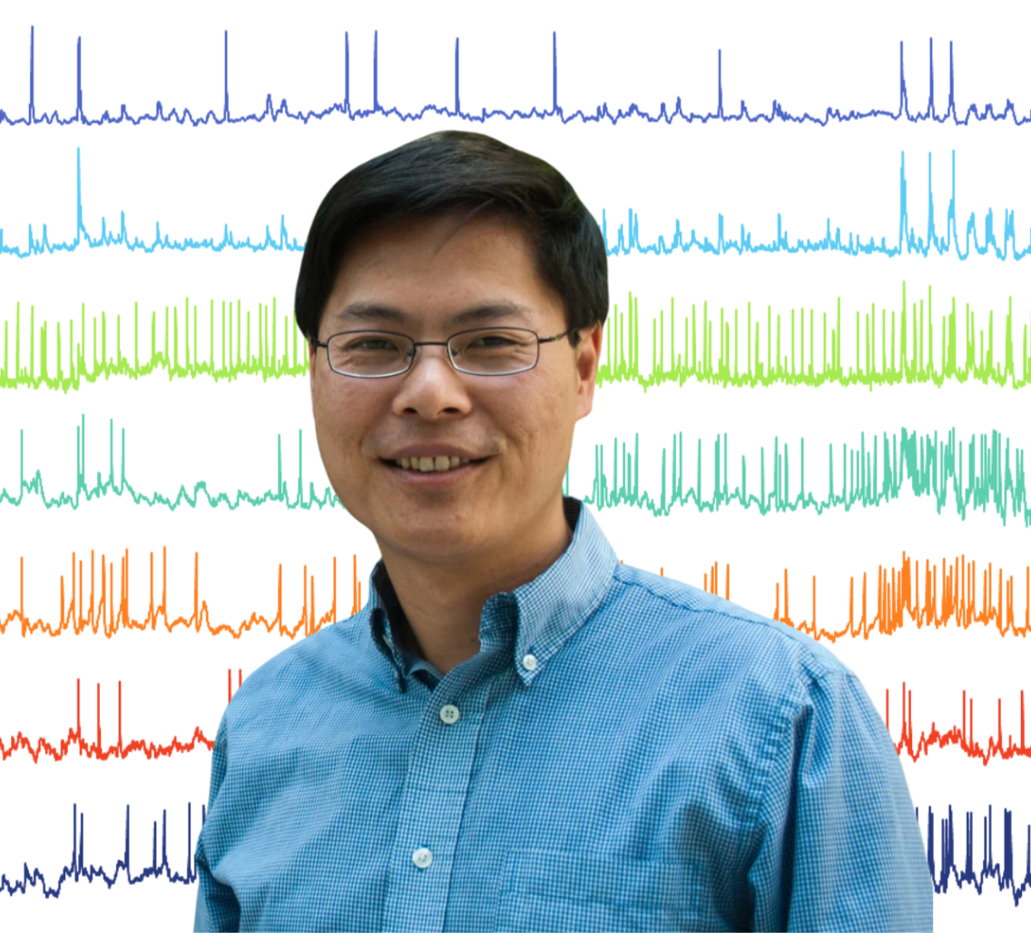 New voltage indicator enables ultra-sensitive synaptic imaging